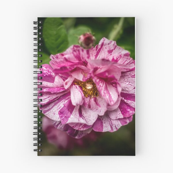 Item preview, Raindrops On A Rose designed and sold by axp7884.