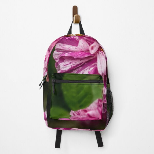 Item preview, Raindrops On A Rose designed and sold by axp7884.