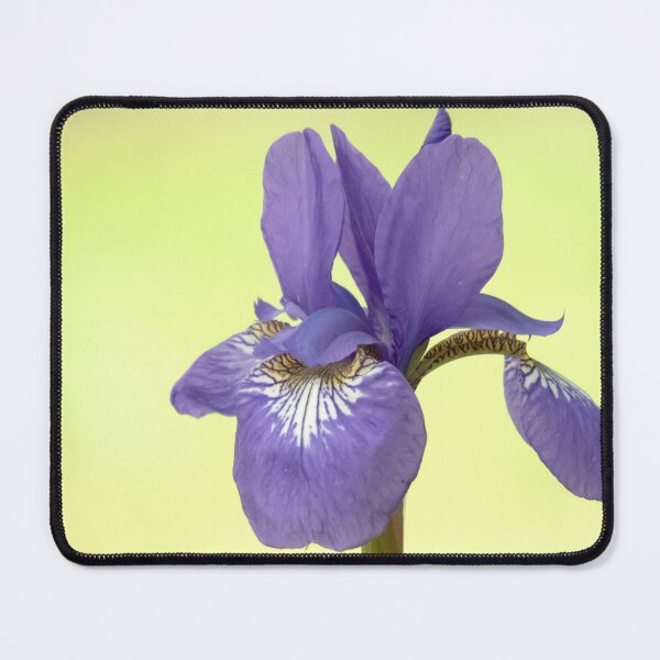 Item preview, Iris in Purple designed and sold by Roger Easley.