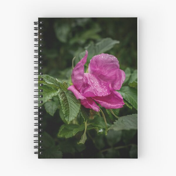 Item preview, Drops Of Rain On A Rose designed and sold by axp7884.