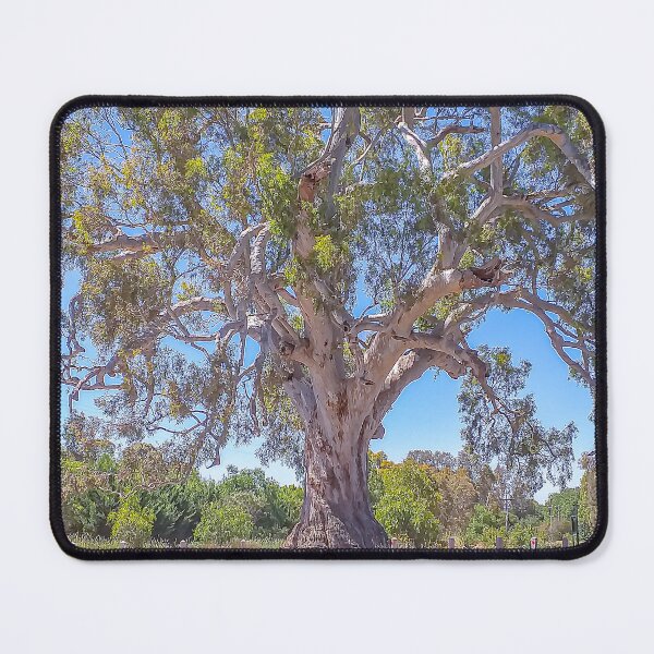 Item preview, The Old River Red Gum in Guildford Victoria designed and sold by Steven Jodoin.