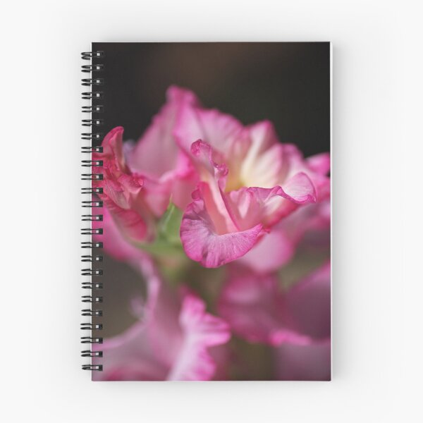 Item preview, Beautiful Gladiolus Flower Petals  designed and sold by Joy Watson - Natural Light Photography .