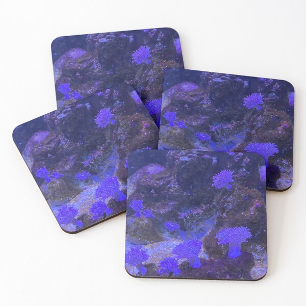 Item preview, Anemones designed and sold by Izayo-Darke1.