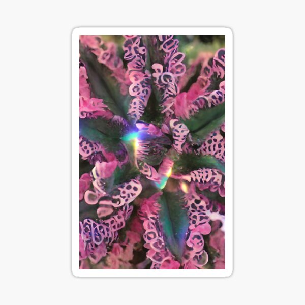 Passionate heart love flowers . made for lovers Sticker