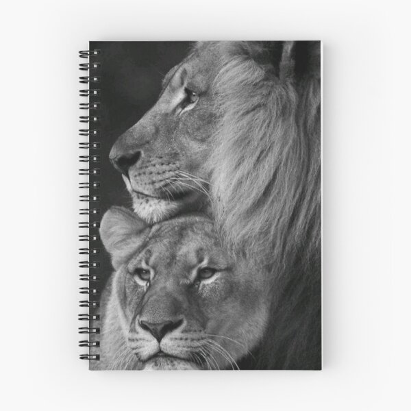 Item preview, lion and lioness designed and sold by Mounir Ameur Ali.