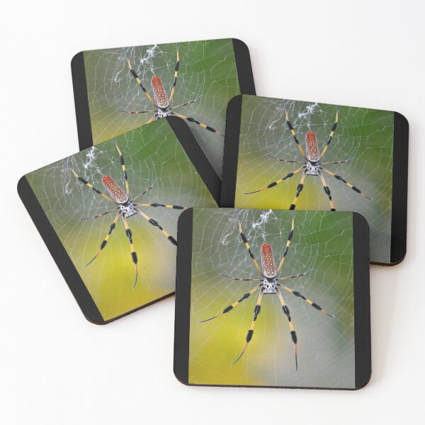 Item preview, Spiderhead designed and sold by Sekya art ⭐⭐⭐⭐⭐.
