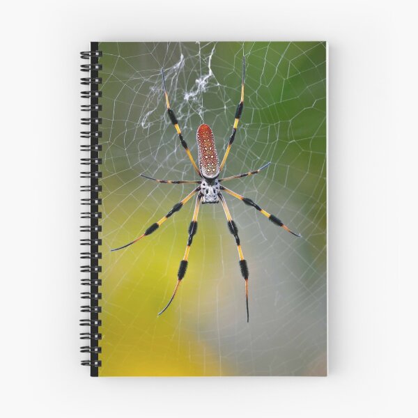 Item preview, Spiderhead  designed and sold by Sekya art ⭐⭐⭐⭐⭐.