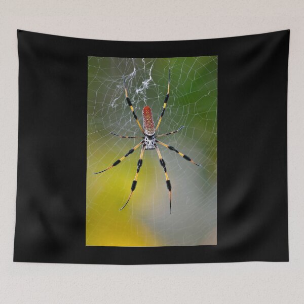 Item preview, Spiderhead  designed and sold by Sekya art ⭐⭐⭐⭐⭐.