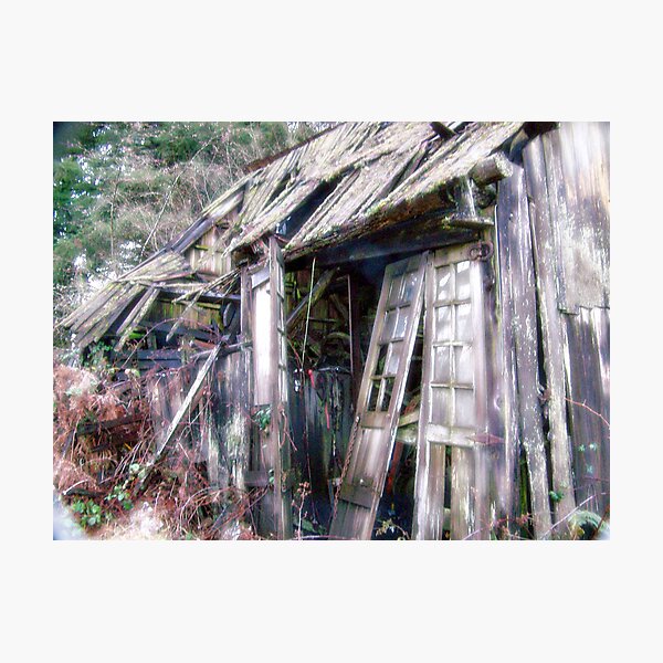Shambles Photographic Print