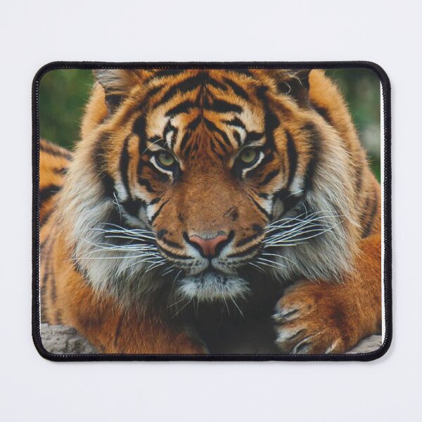 Item preview, tiger designed and sold by Mounir Ameur Ali.