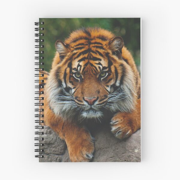Item preview, tiger designed and sold by Mounir Ameur Ali.