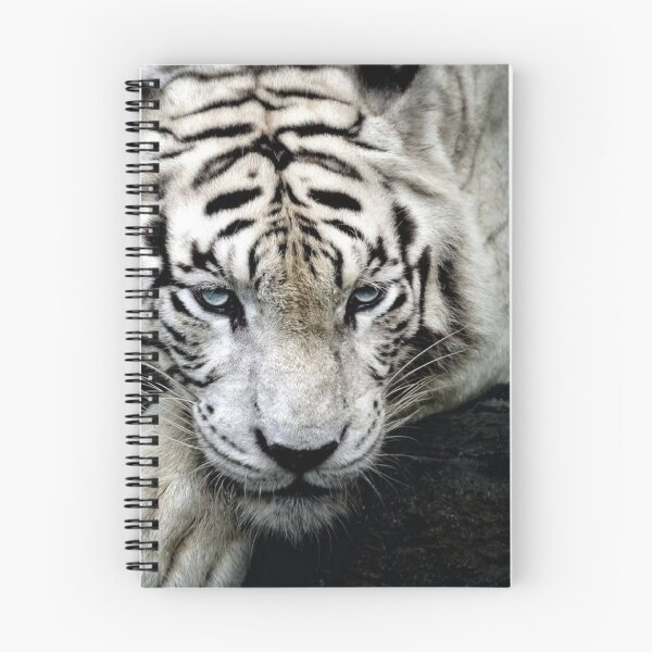 Item preview, tiger designed and sold by Mounir Ameur Ali.