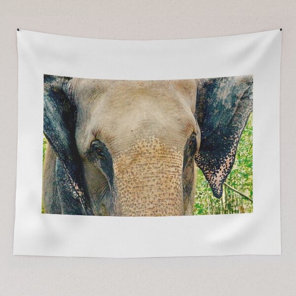 Item preview, The Face of Elephant designed and sold by Barbara Brown.