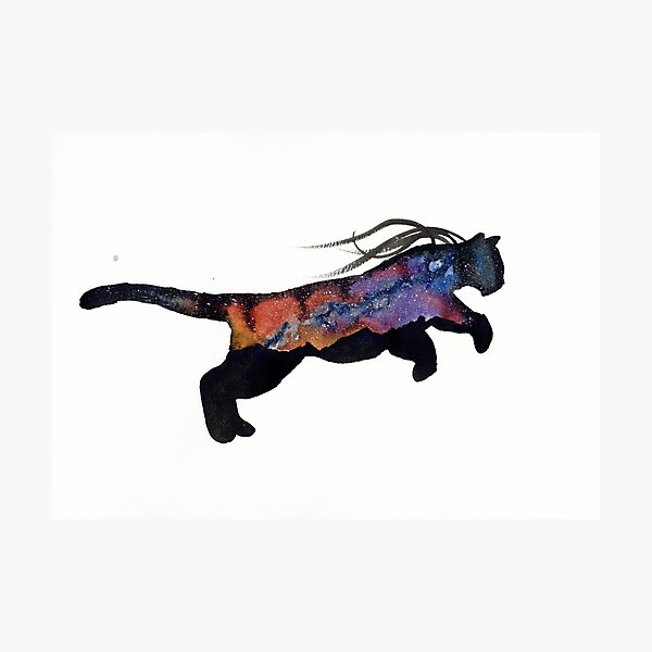 Sunset Aurora Puma Photographic Print