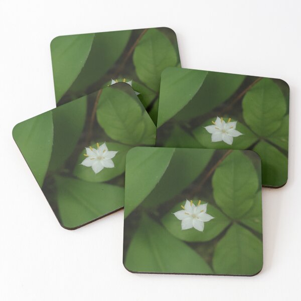 Item preview, Starflower designed and sold by Daniel Holtmeyer.