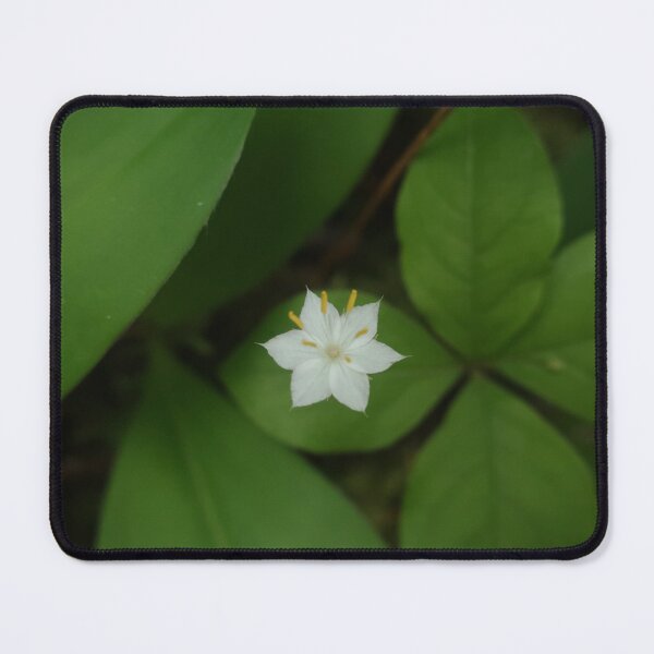 Item preview, Starflower designed and sold by Daniel Holtmeyer.