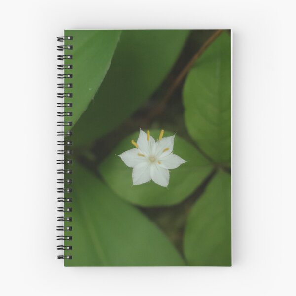 Item preview, Starflower designed and sold by Daniel Holtmeyer.