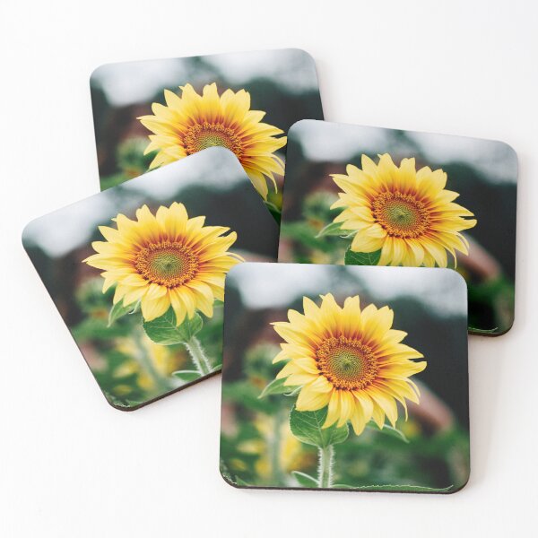 Item preview, FLORA #7 – Burst of Bright Yellow Sunflower Petals designed and sold by DEL-Productions.