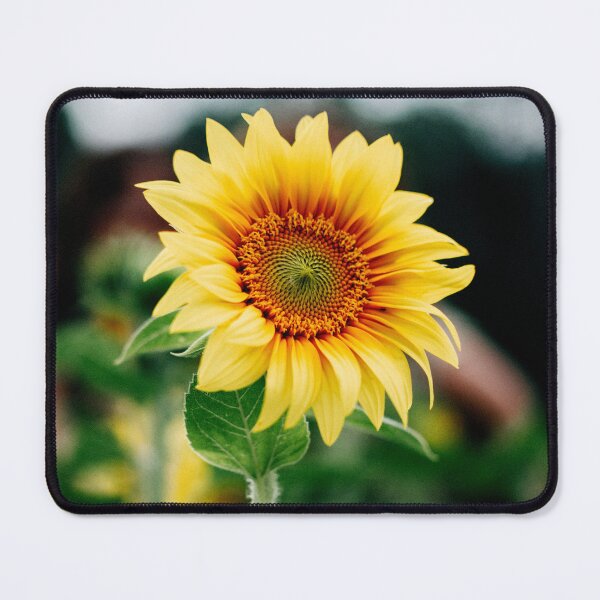 Item preview, FLORA #7 – Burst of Bright Yellow Sunflower Petals designed and sold by DEL-Productions.