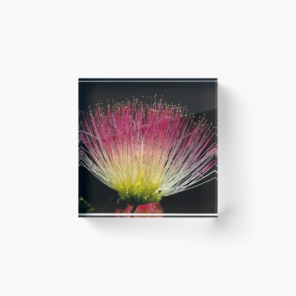 Item preview, FLORA #11– Delicate Pink and Yellow Flower designed and sold by DEL-Productions.