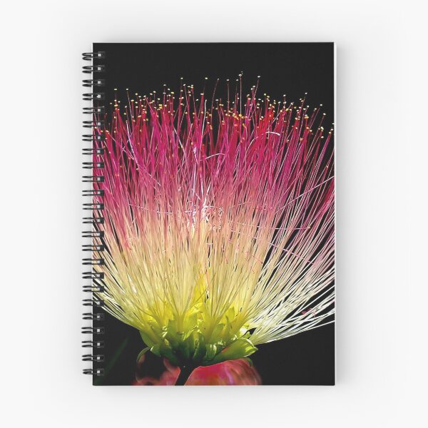 Item preview, FLORA #11– Delicate Pink and Yellow Flower designed and sold by DEL-Productions.