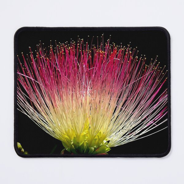 Item preview, FLORA #11– Delicate Pink and Yellow Flower designed and sold by DEL-Productions.