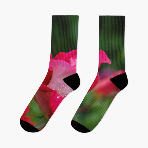 Item preview, FLORA #15 - Dual Pink and Red Rose Framed by Green designed and sold by DEL-Productions.
