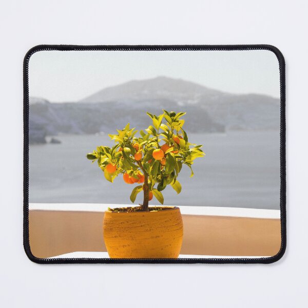 Item preview, Santorini, Greece, Summer Ocean Views, Orange Tree designed and sold by newburyboutique.