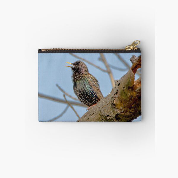 Item preview, Common starling (Sturnus vulgaris) designed and sold by MarekM.