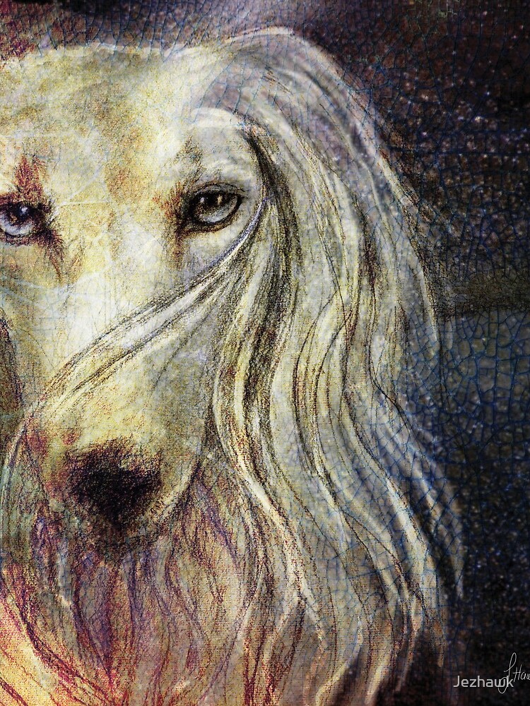 The Look by Jezhawk