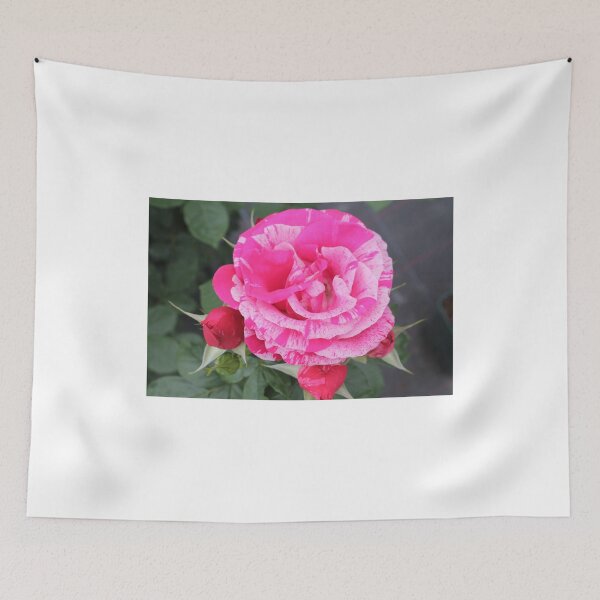 Item preview, roses designed and sold by rachariedel.