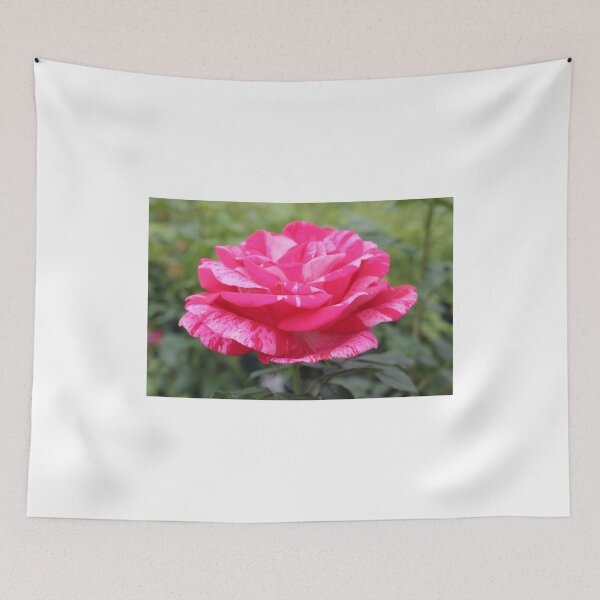 Item preview, roses designed and sold by rachariedel.