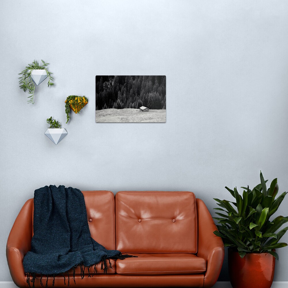BEYOND FIRS Metal Print