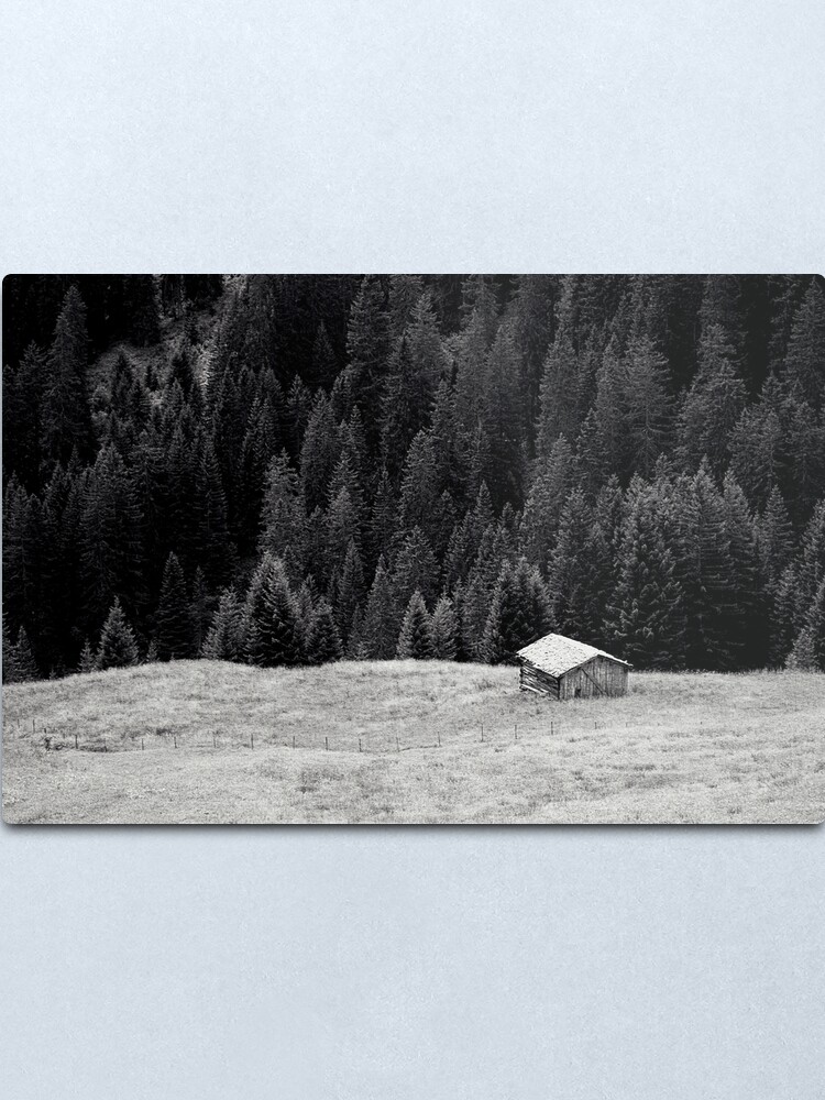 Alternate view of BEYOND FIRS Metal Print