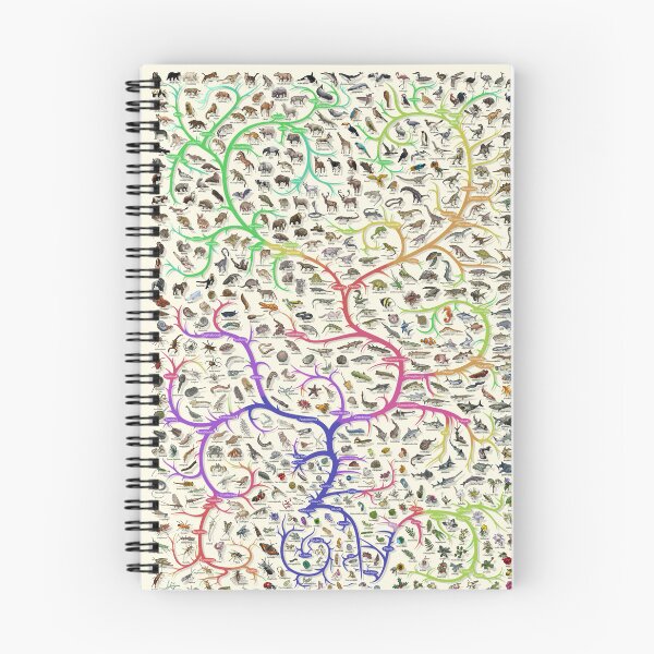 Item preview, Animal Tree of Life Poster - Evolution - Colour (English Annotations) designed and sold by EvolutionPoster.