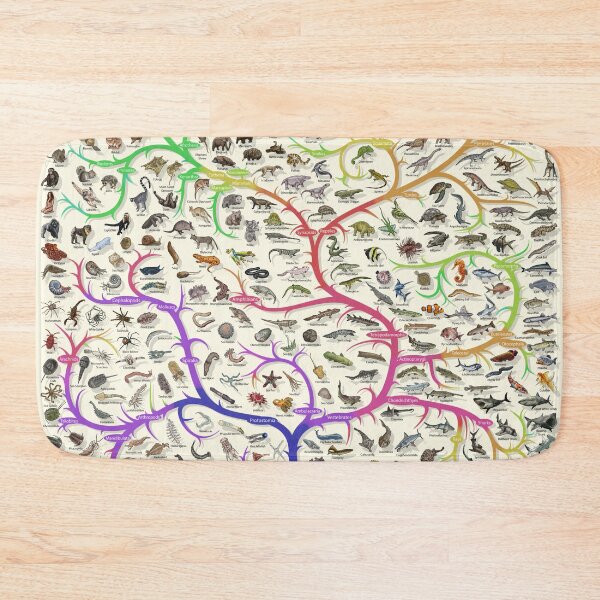 Item preview, Animal Tree of Life Poster - Evolution - Colour (English Annotations) designed and sold by EvolutionPoster.
