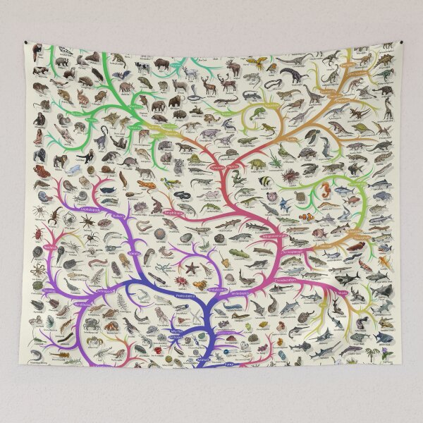 Item preview, Animal Tree of Life Poster - Evolution - Colour (English Annotations) designed and sold by EvolutionPoster.