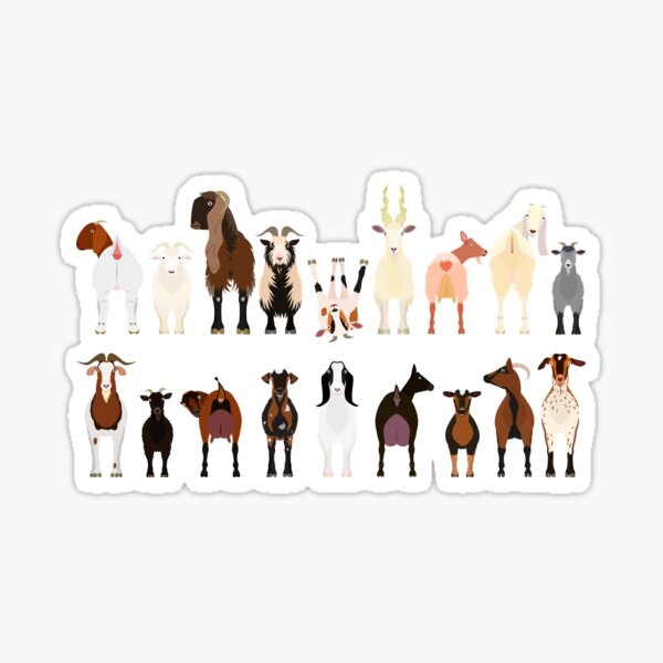 Goat Breeds Sticker For Sale By Refineryn1 Redbubble 