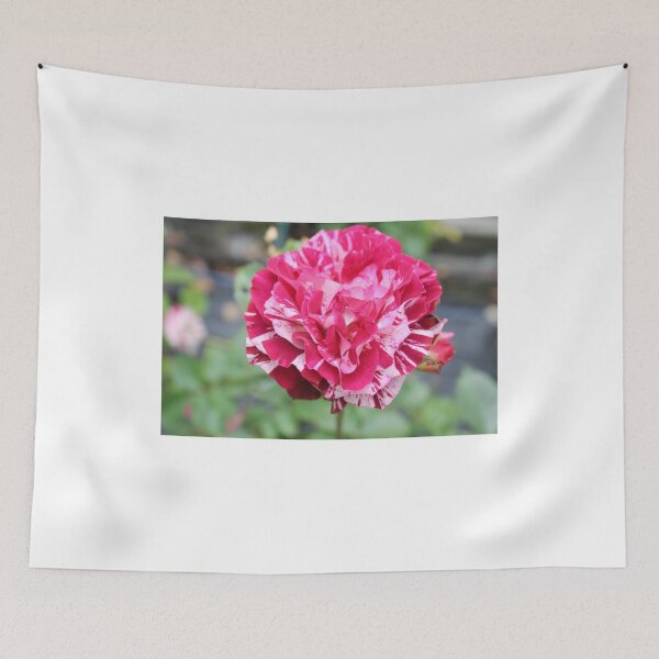 Item preview, roses designed and sold by rachariedel.