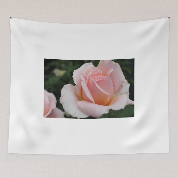 Item preview, roses designed and sold by rachariedel.