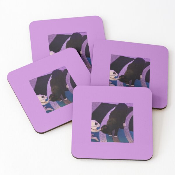 Item preview, Kathy cat kissed a dog and she liked it. designed and sold by imyournightmare.