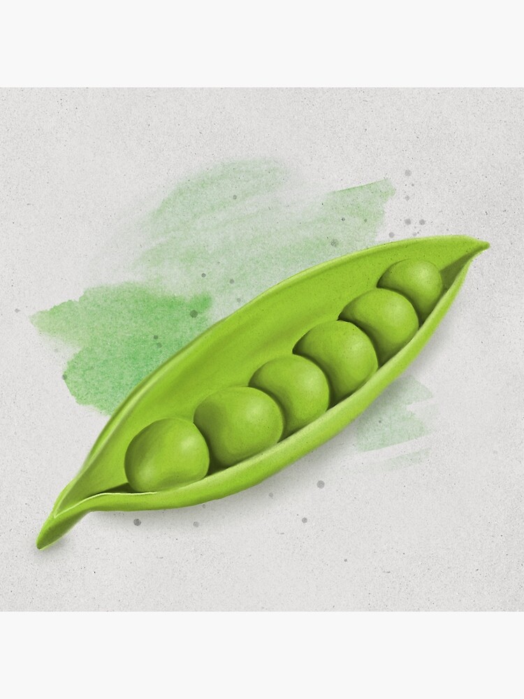 "Peas in a Pod" Poster for Sale by KarinaCross Redbubble