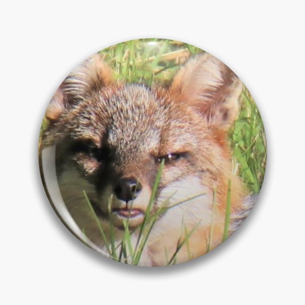 Item preview, Gray Fox relaxing designed and sold by BellsPainting.