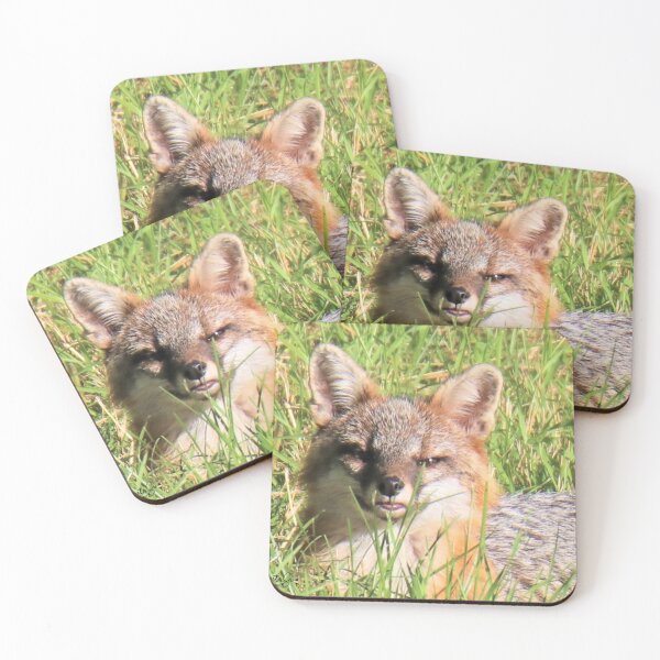 Item preview, Gray Fox relaxing designed and sold by BellsPainting.