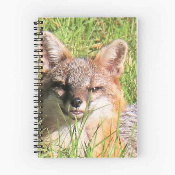 Item preview, Gray Fox relaxing designed and sold by BellsPainting.
