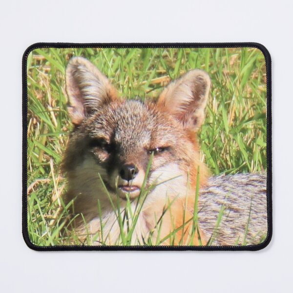 Item preview, Gray Fox relaxing designed and sold by BellsPainting.