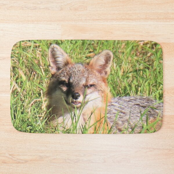 Item preview, Gray Fox relaxing designed and sold by BellsPainting.