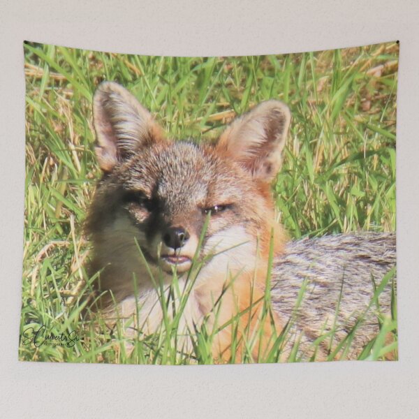 Item preview, Gray Fox relaxing designed and sold by BellsPainting.