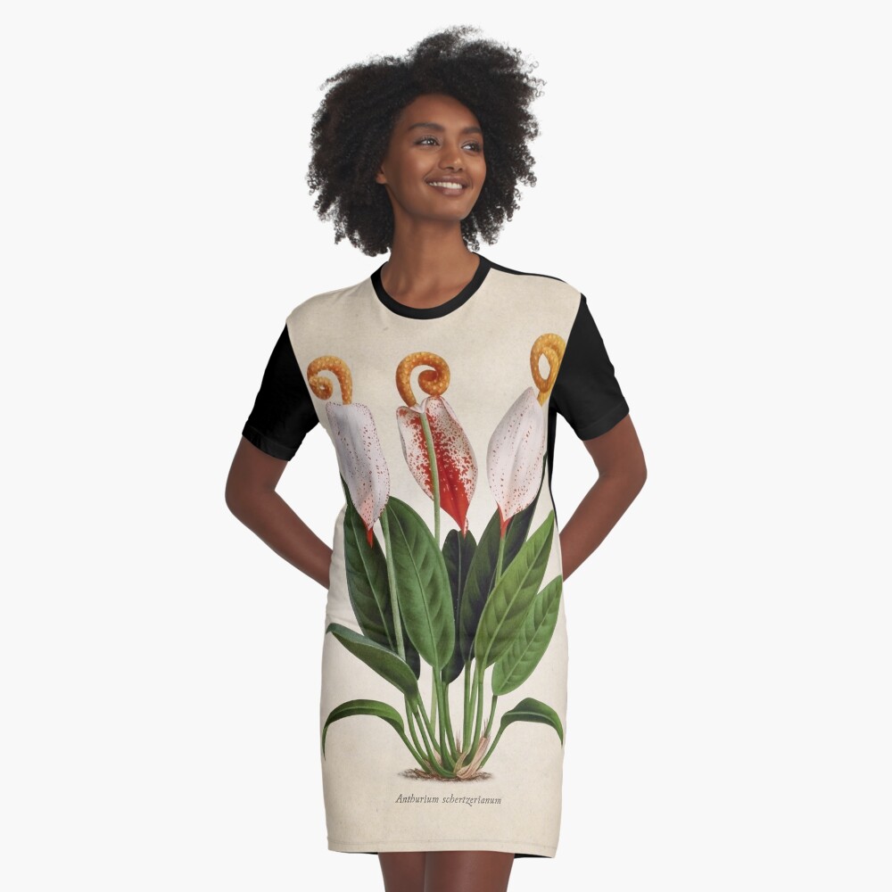 Vista previa del artículo con la obra «Vestido camiseta», diseñado y vendido por bibliotee.