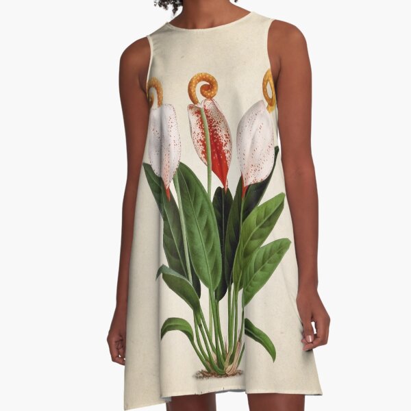 Anthurium scherzerianum old plate Vestido acampanado